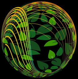 kaiyun网址-未来青训：生态系统构建助推足球强国梦，足球生态系统建设